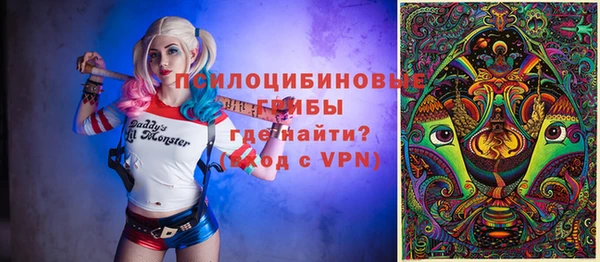 a pvp Майский