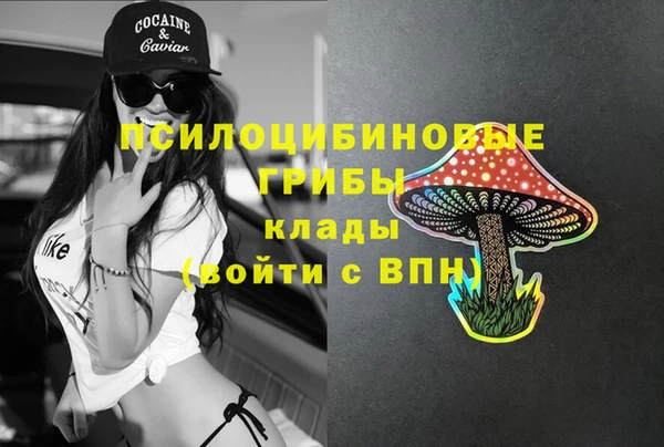гидра Магас