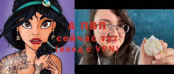 хмурый Белая Холуница