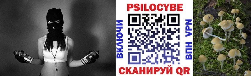 Галлюциногенные грибы Psilocybine cubensis  Советск 