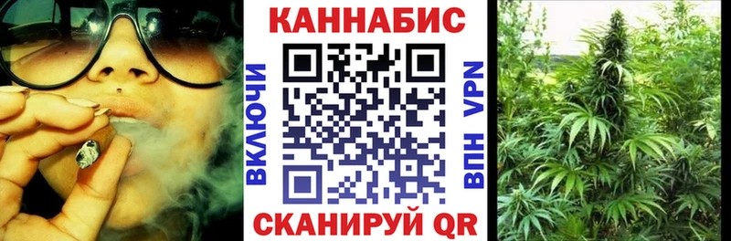 Конопля SATIVA & INDICA  Советск 